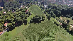 Gasthaus Schloss Wackerbarth — photo 11
