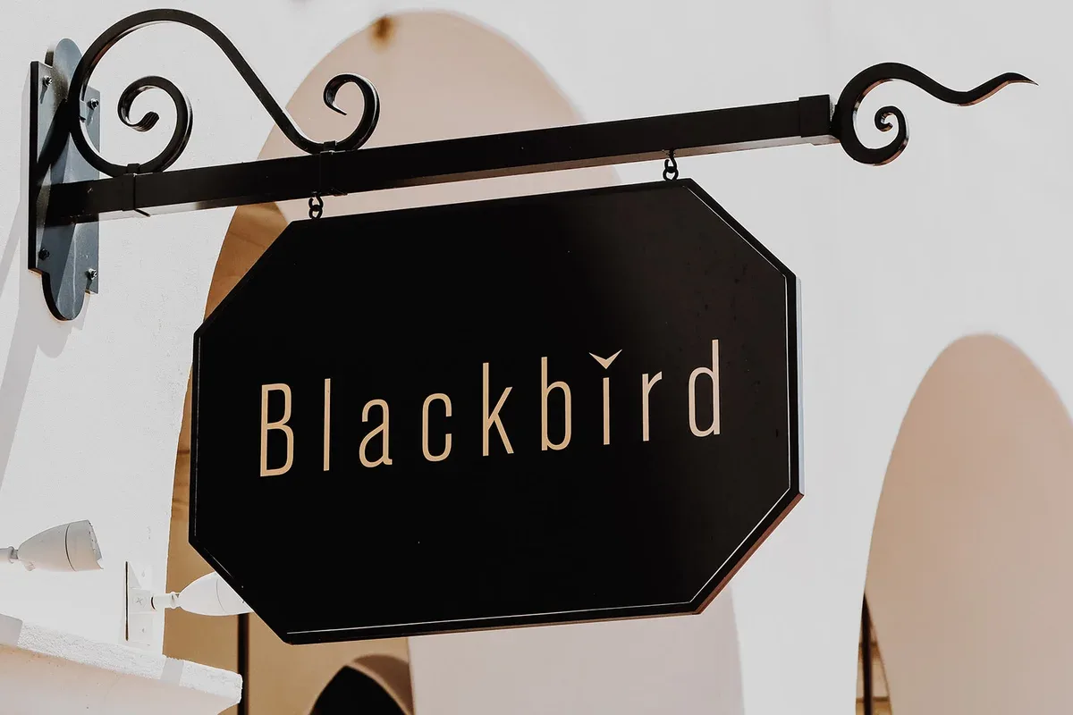 Blackbird — photo 11