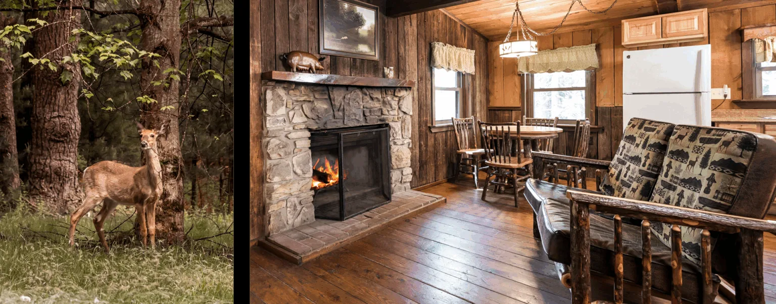 Gateway Lodge — photo 40