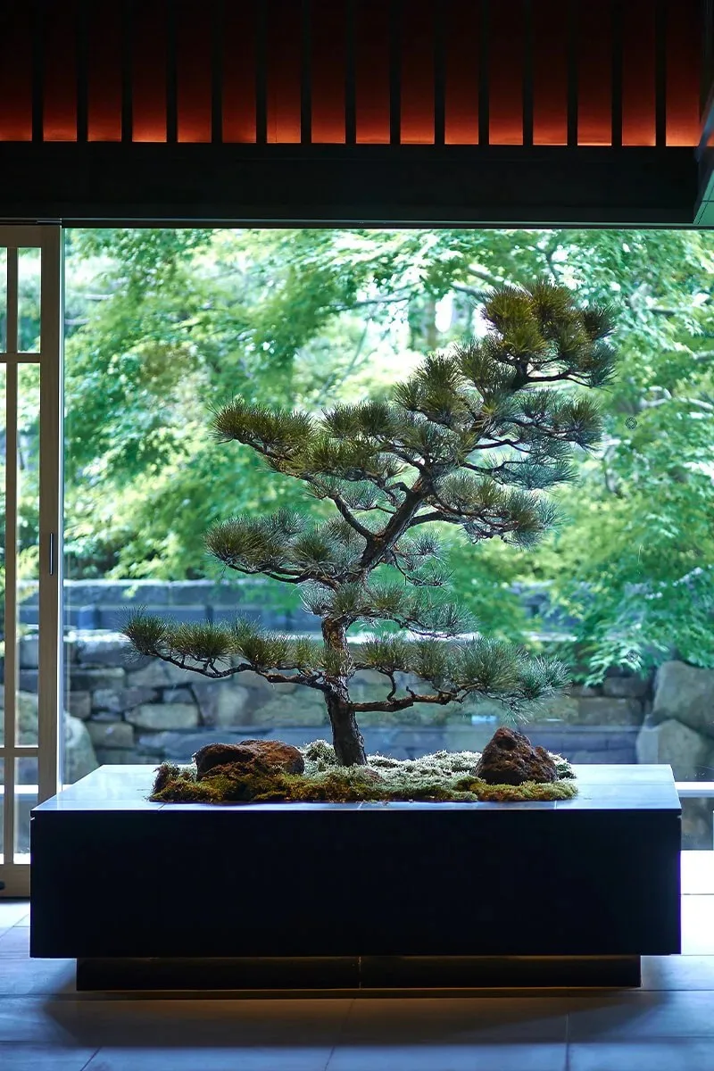 Kappo Muroi — photo 45
