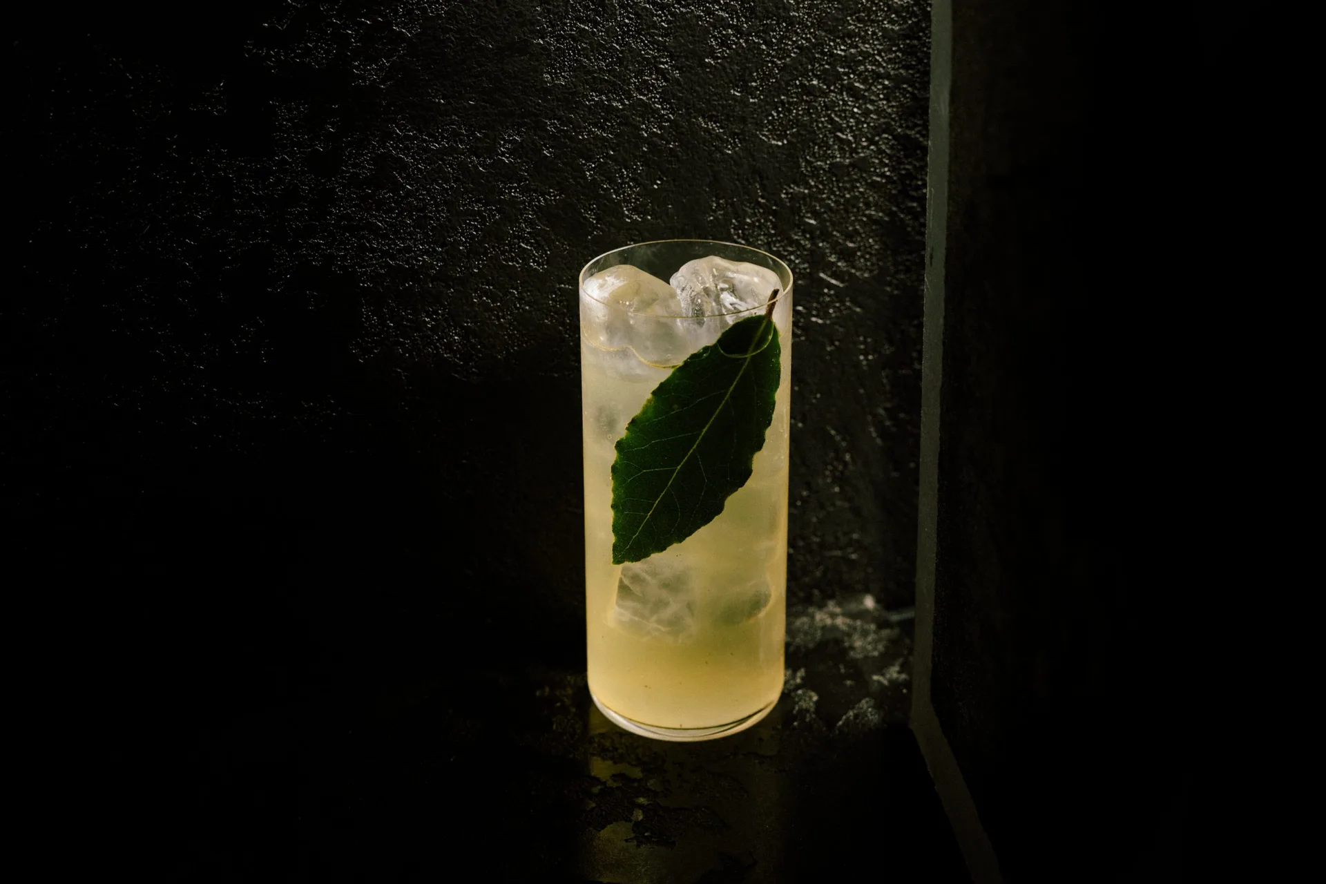 Satori — photo 19