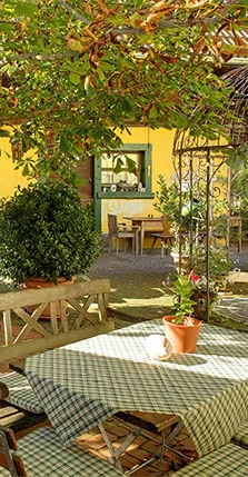 Gasthaus Schwanen — photo 10
