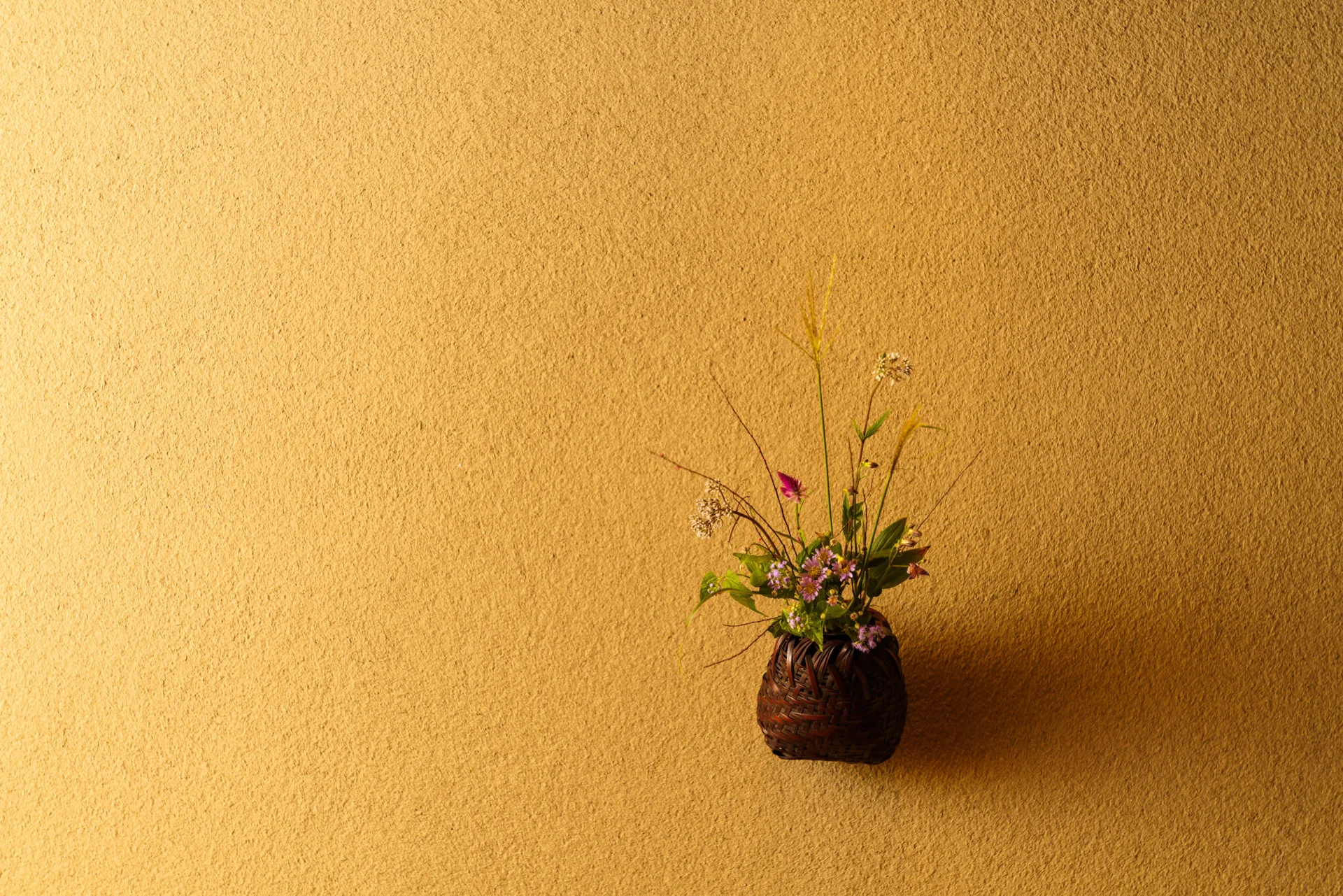 Ogawa — photo 9