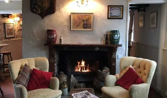 The Loddon Swan, Loddon
