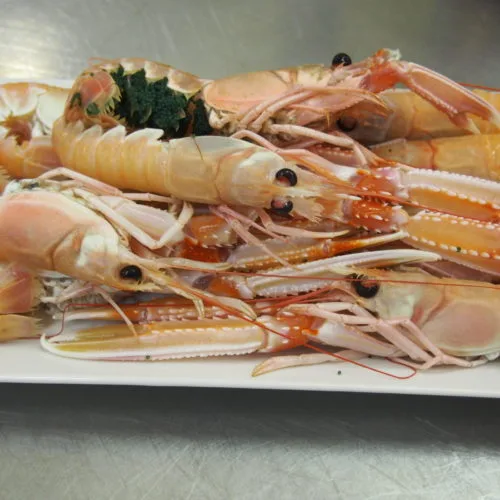 Trattoria La Barca — photo 31