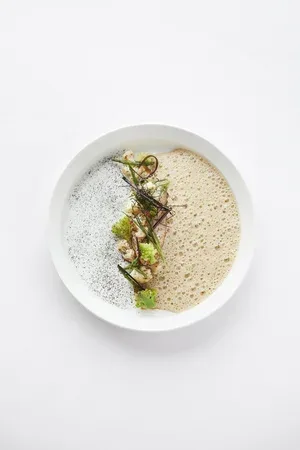 Sense — photo 12