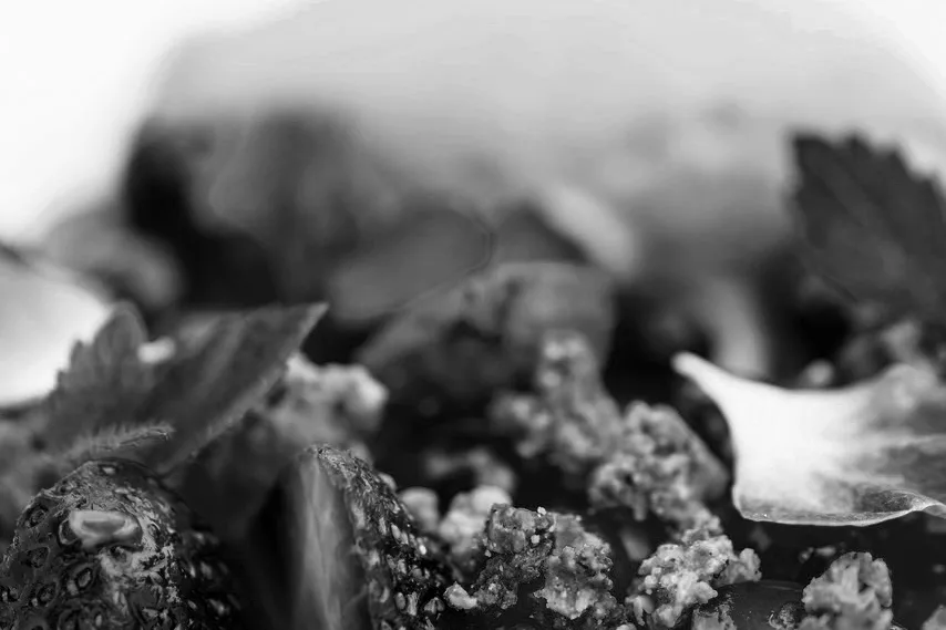 Robert Stolz eat.share.live — photo 73