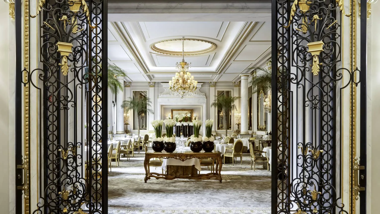 Le Cinq — photo 21