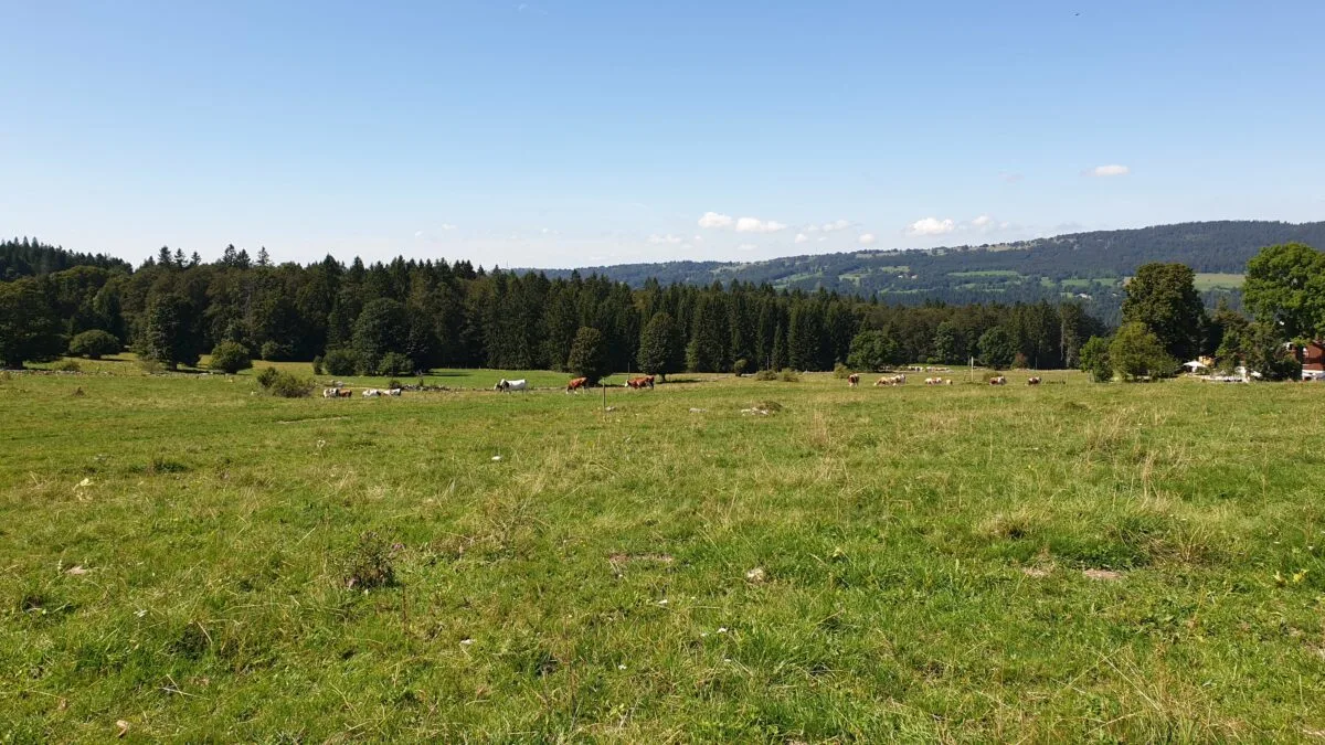 La Table du Tillau — photo 13