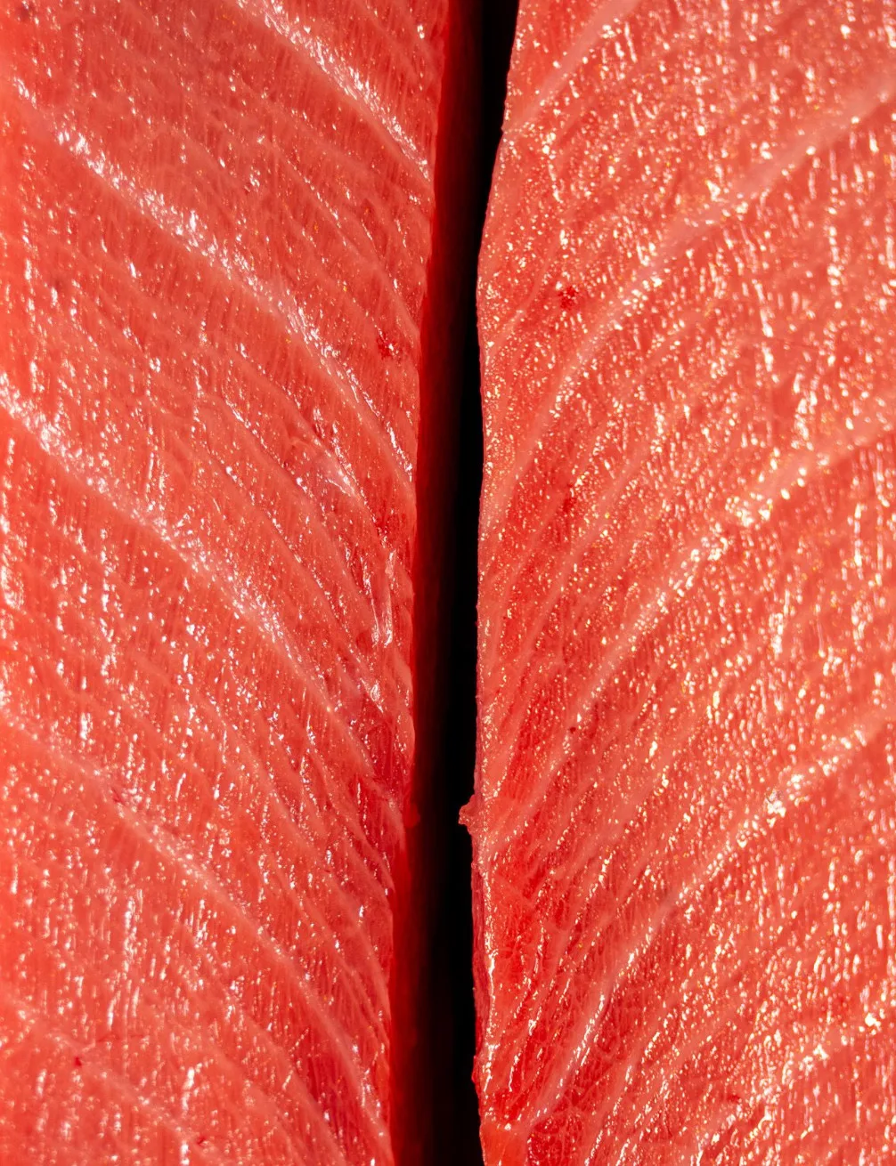 Shota Omakase — photo 13