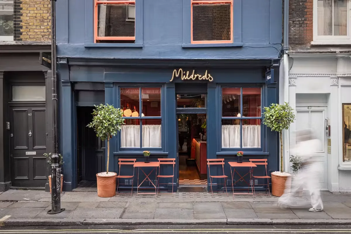 Mildreds — photo 6
