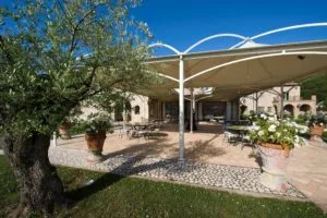 Tenuta del Gallo — photo 7
