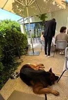 La Cabro d'Or, Maussane-les-Alpilles