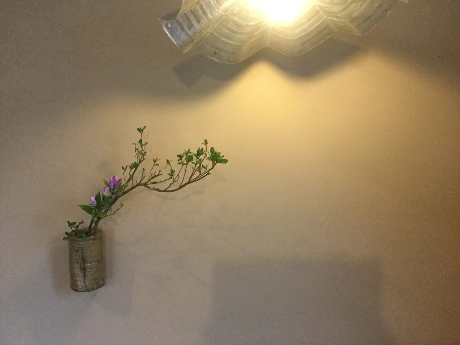 Nidaime Izumosoba Dandan — photo 17