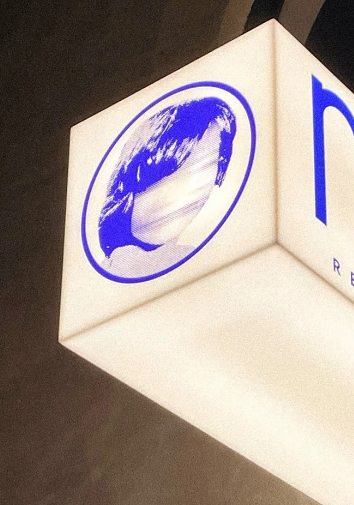 Noels — photo 6