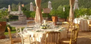 Tenuta del Gallo — photo 6