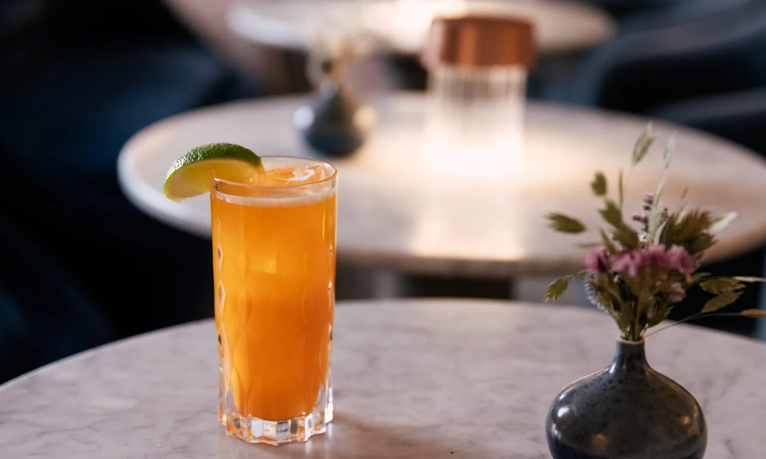 Drusie and Darr — drink