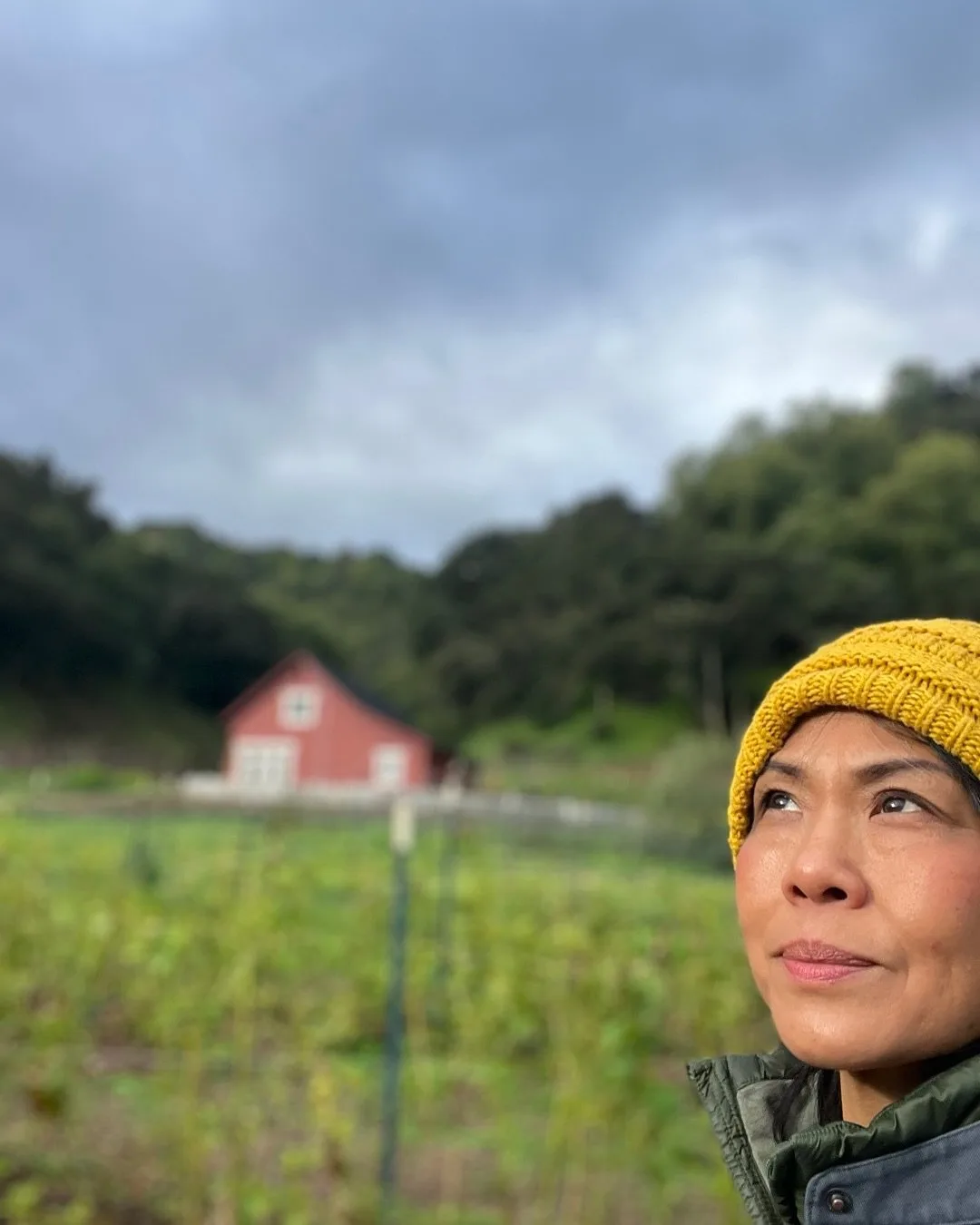 Top Hatters Kitchen — photo 23