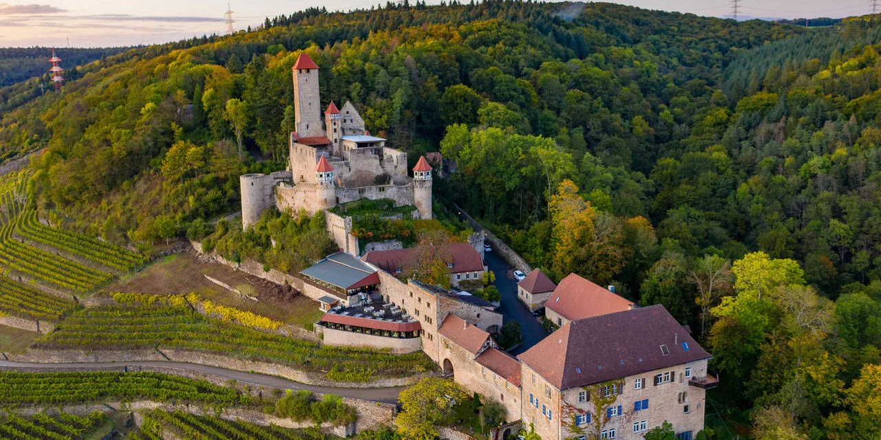 Restaurant Burg Hornberg — photo 78