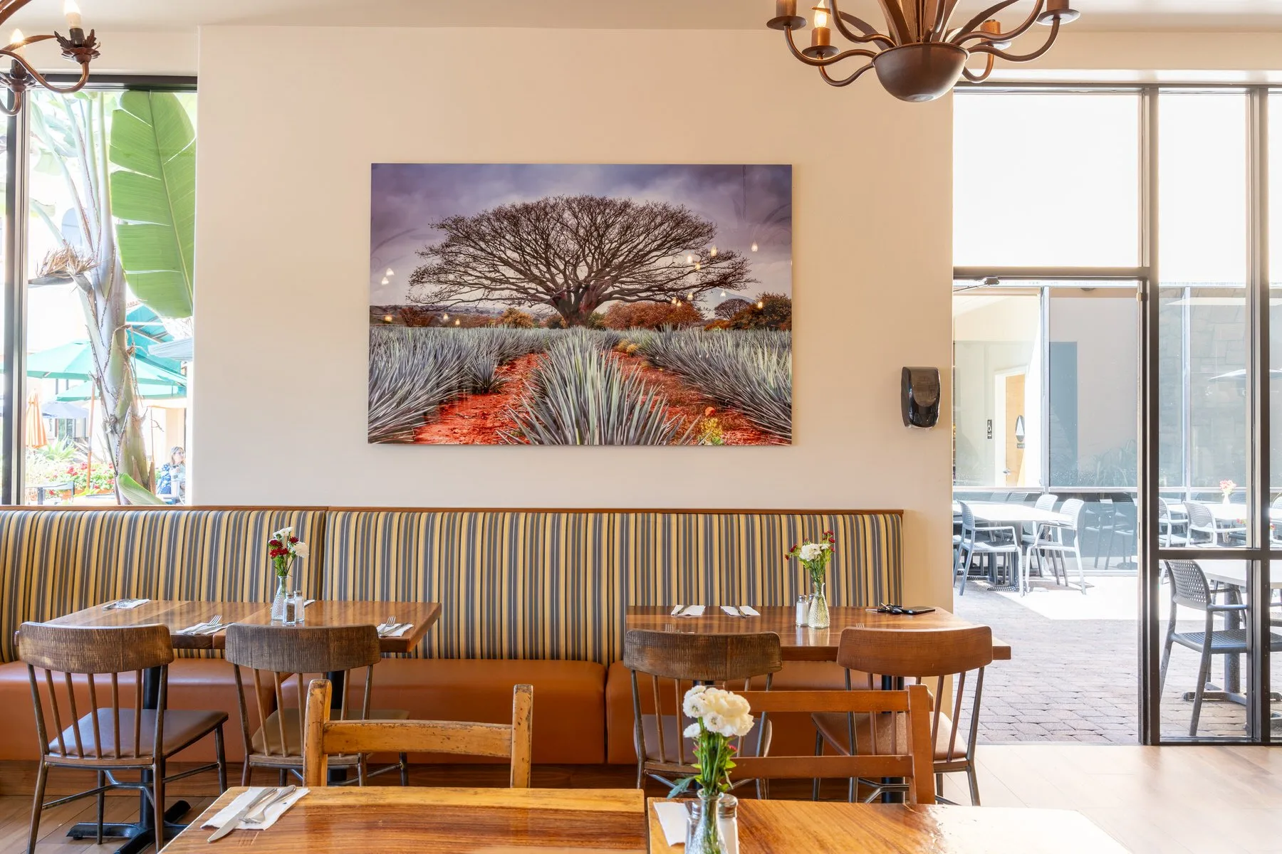 Los Agaves — photo 9