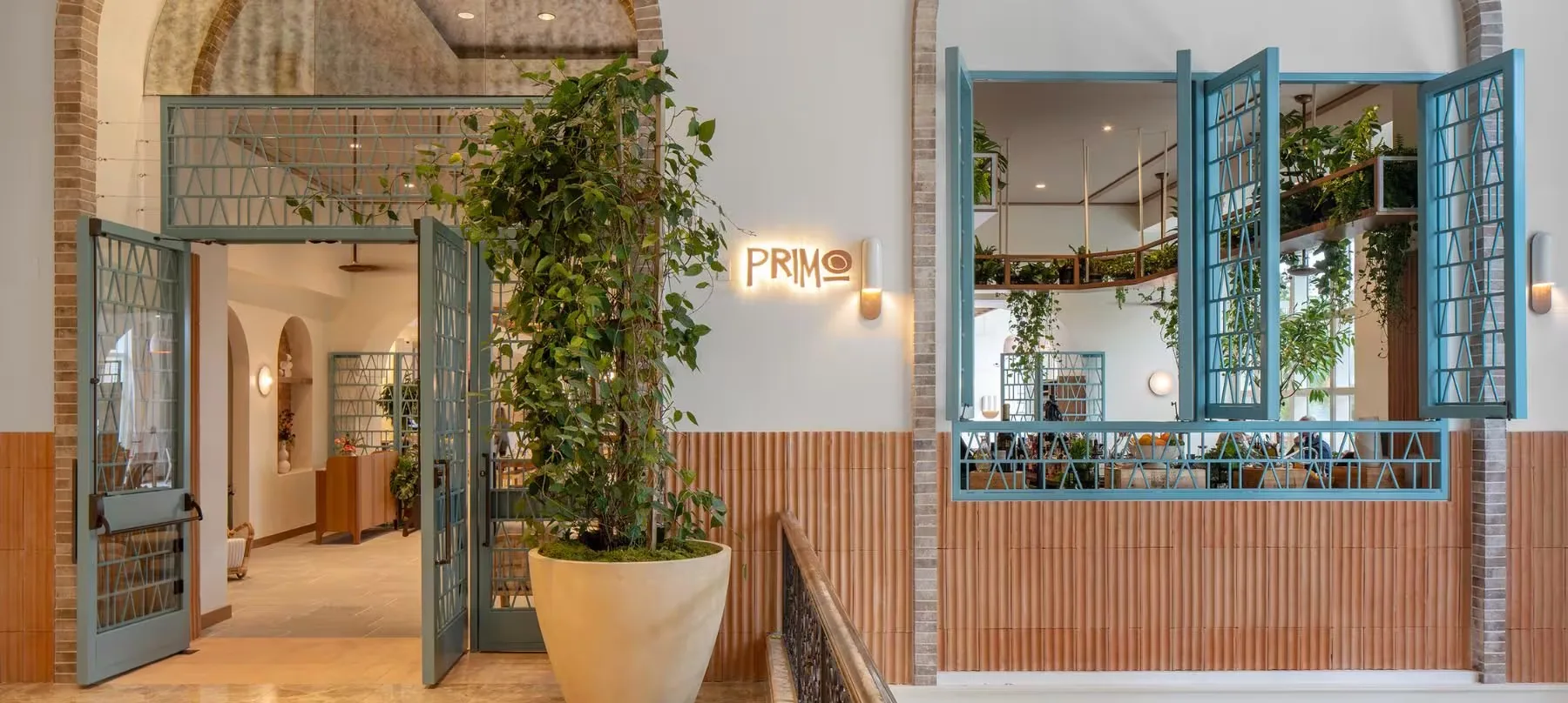 Primo — photo 9