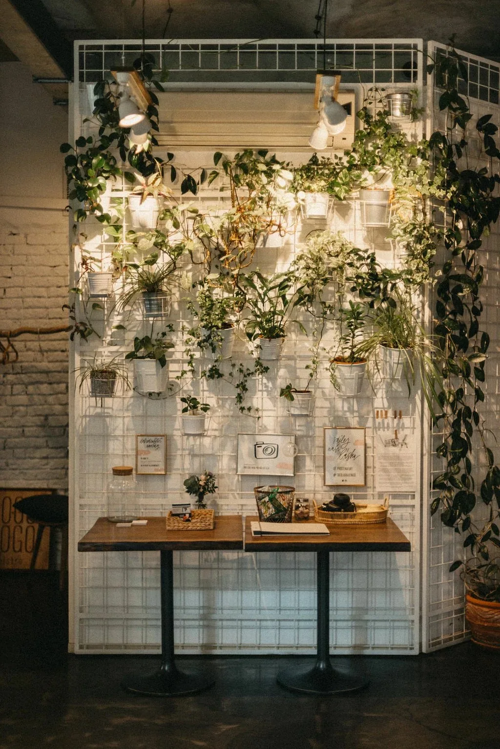 HogoFogo Bistro — photo 86