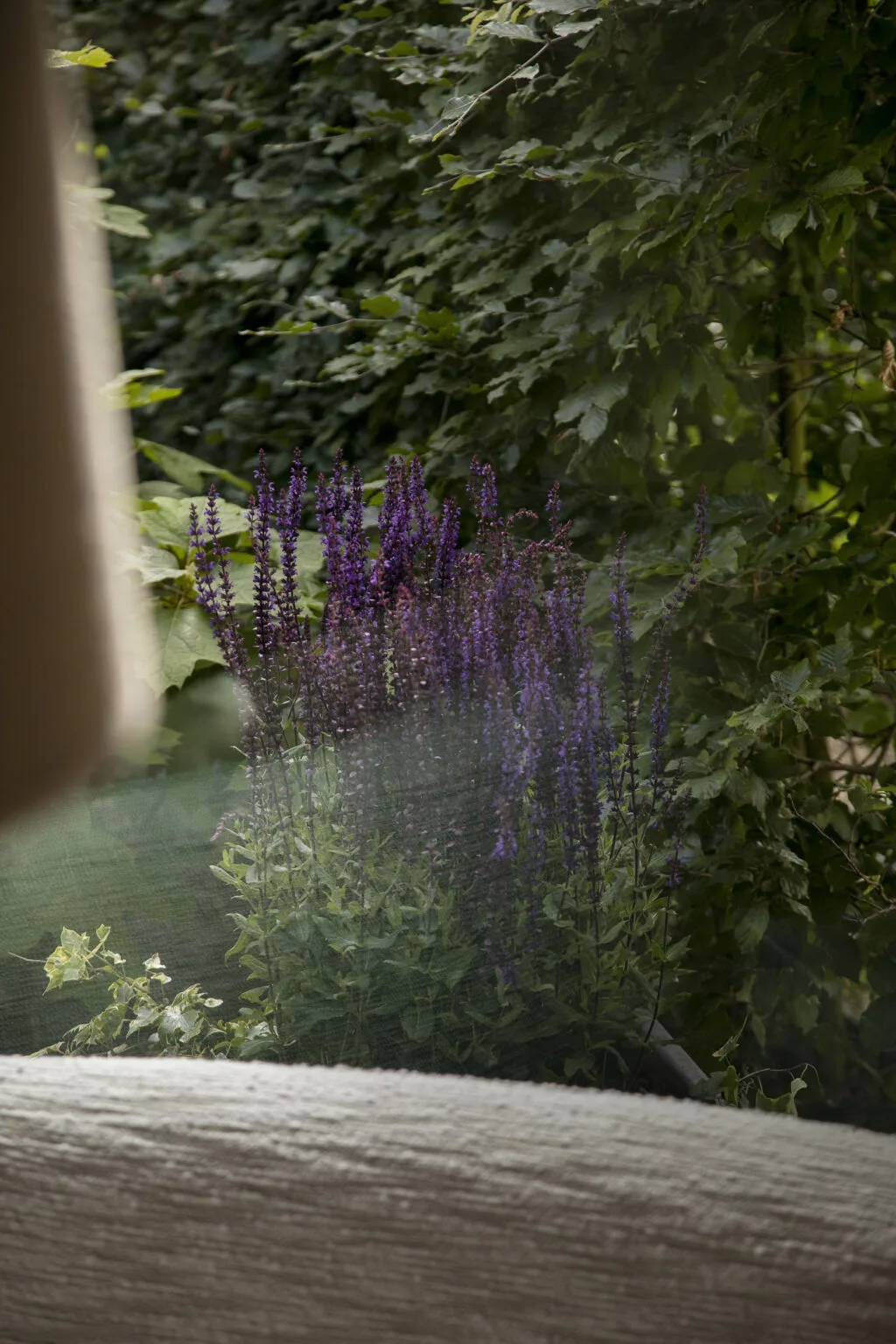 Savoury — photo 30