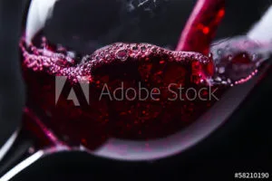 The Corkscrew Wine Bar — drink