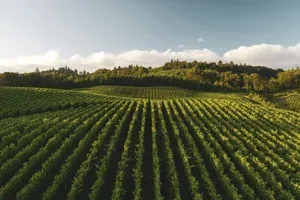 Bodega Wine Dive — photo 9