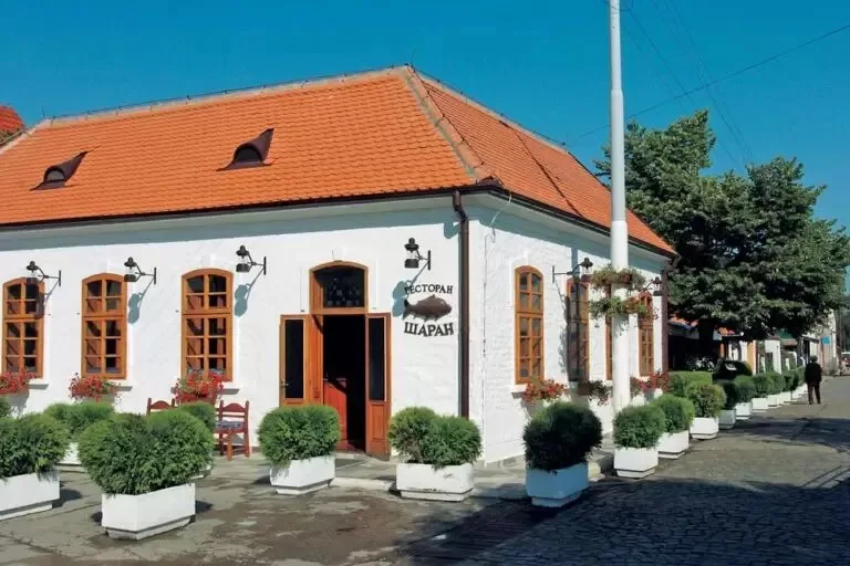 RESTORAN ŠARAN — photo 31