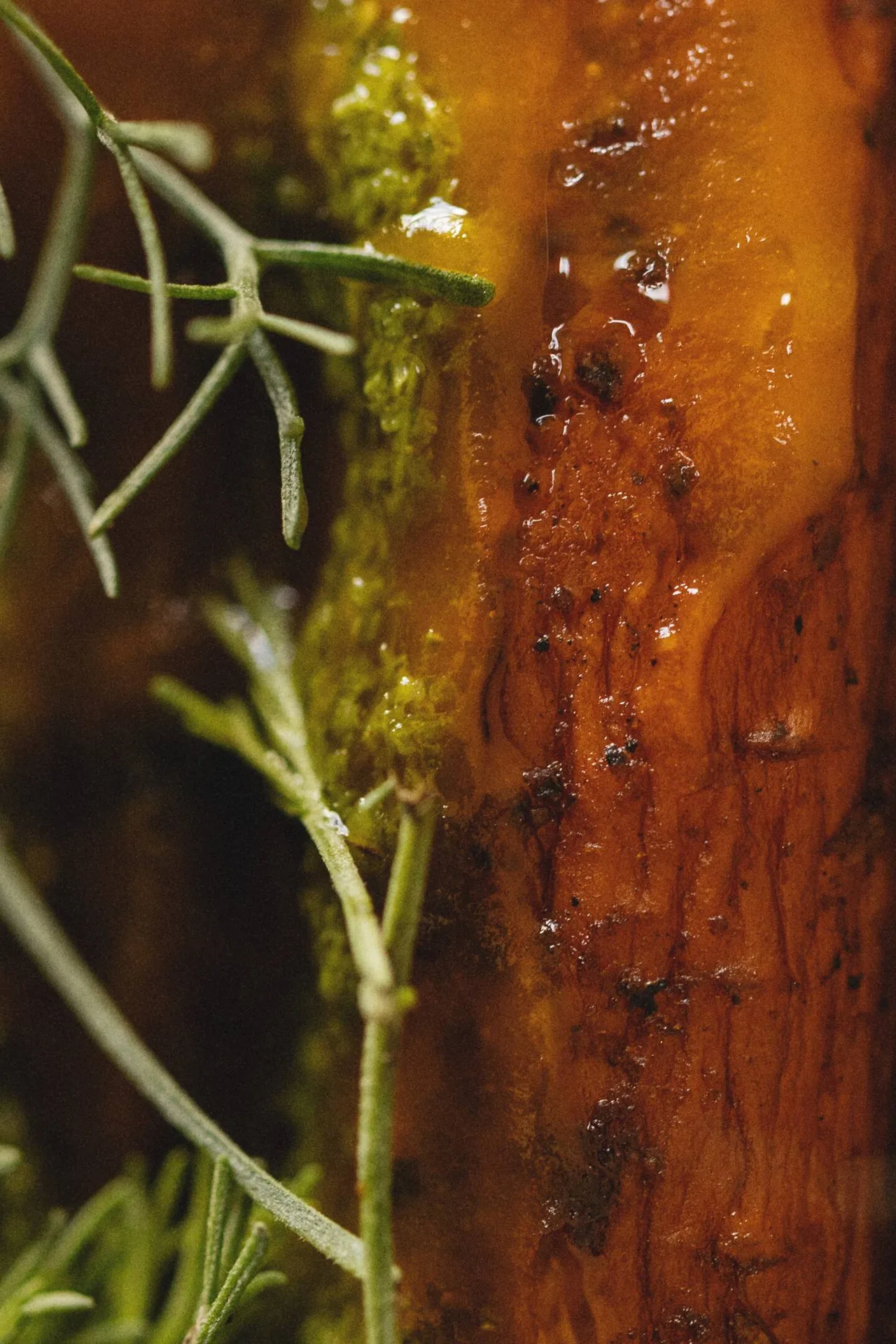 Assonica — photo 7