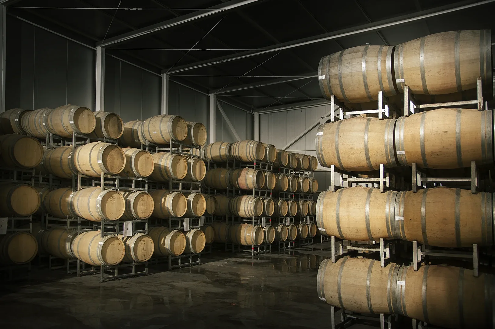 Martino Wines — photo 7