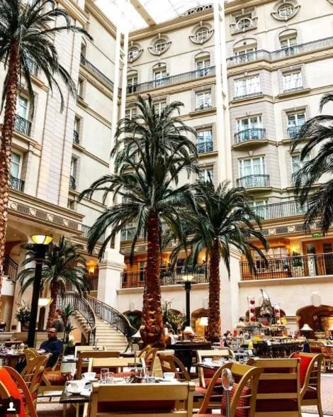The Winter Garden — photo 13