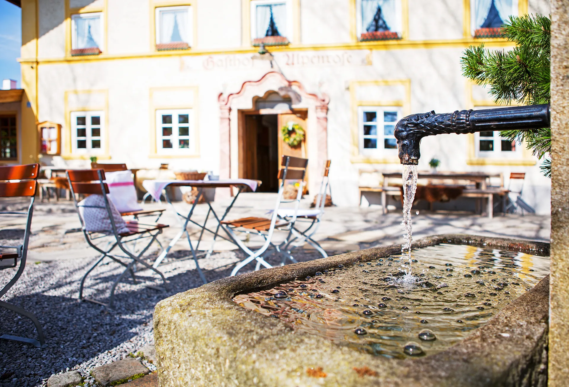 Gasthof Alpenrose — photo 18