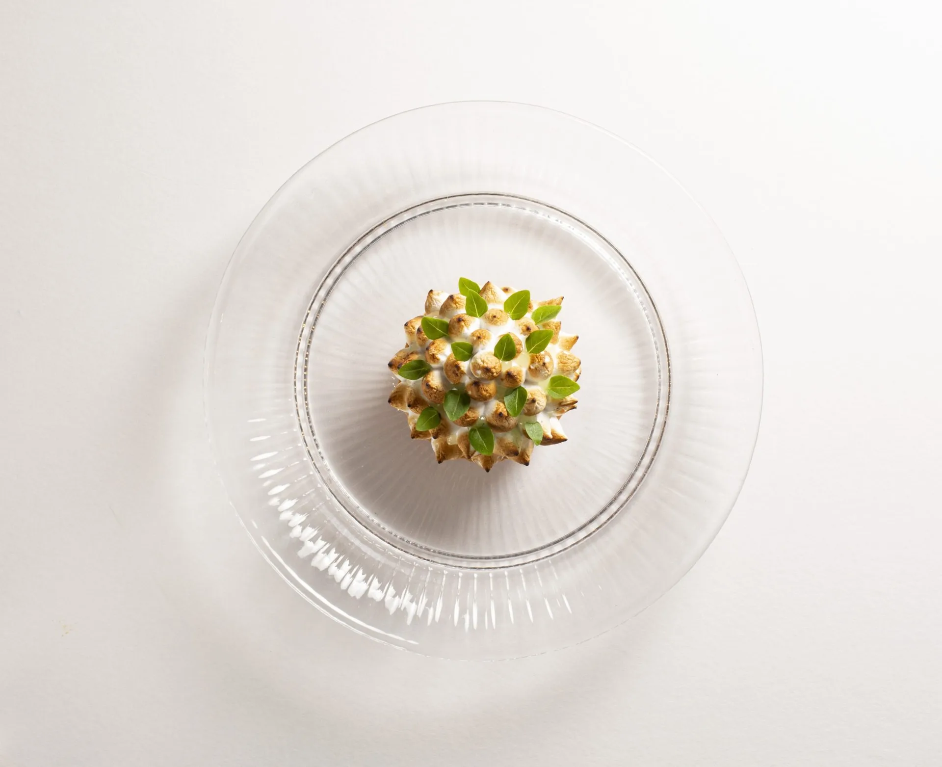 Olive Tree — photo 40