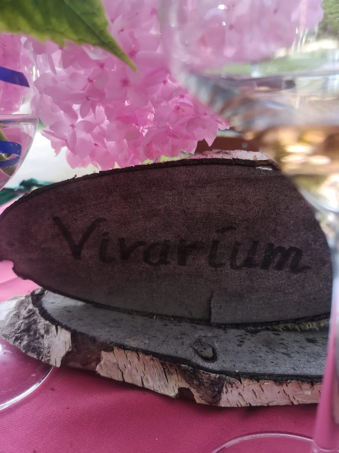 Restaurant Vivarium — photo 20