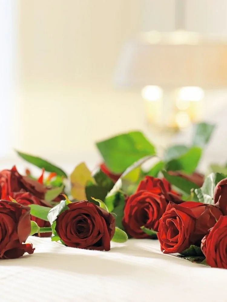 Boutique-Hotel Schlüssel Beckenried, Beckenried