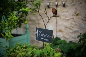 Les Orangeries — atmosphere