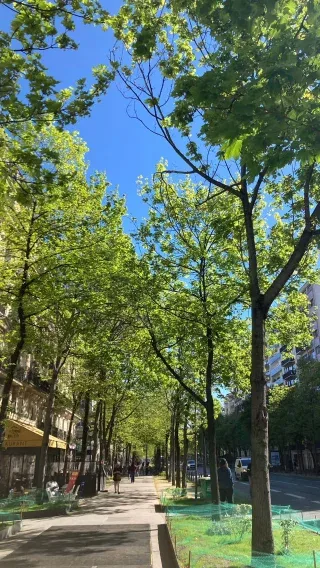 Montée — photo 6