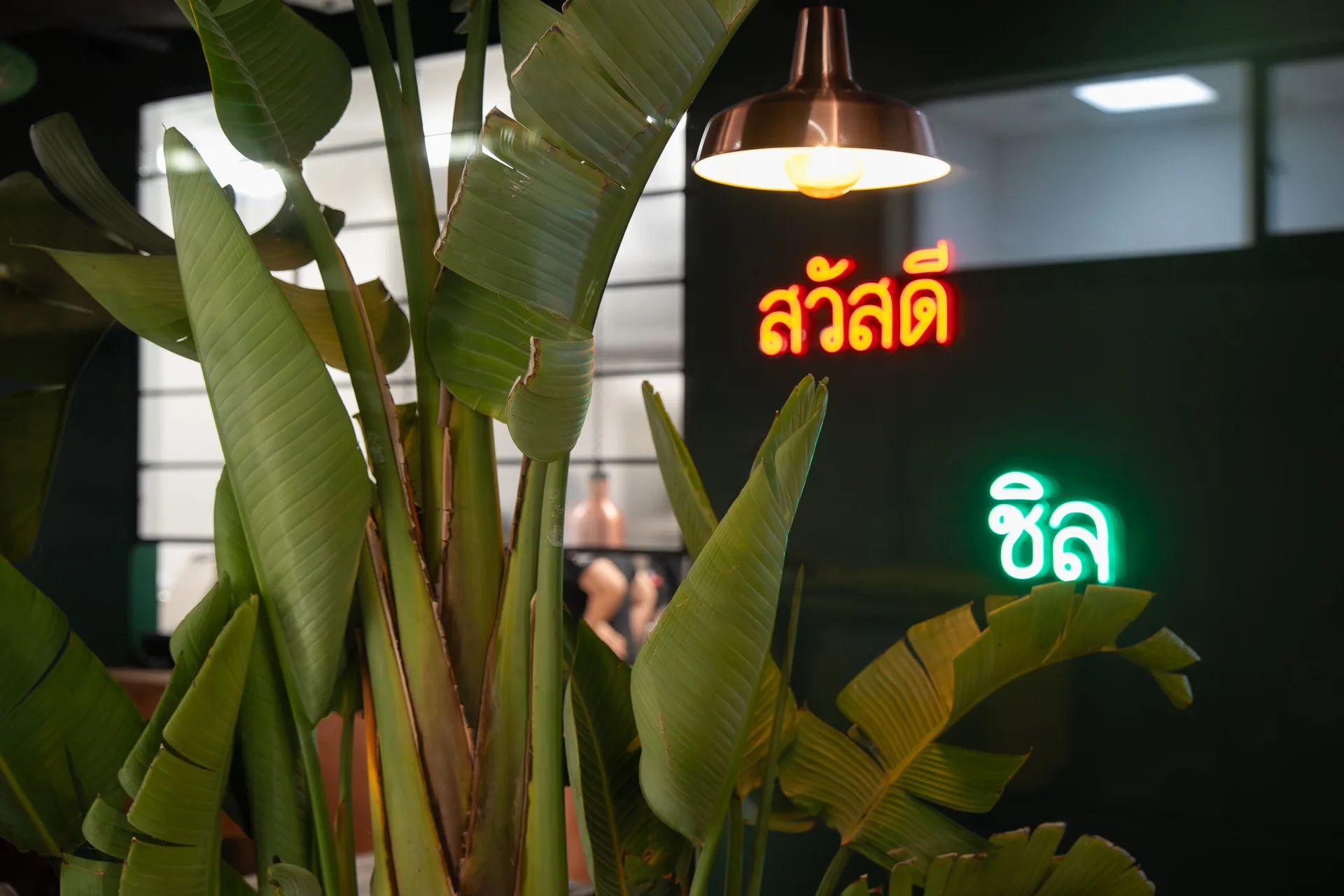 PaTaThai — photo 49
