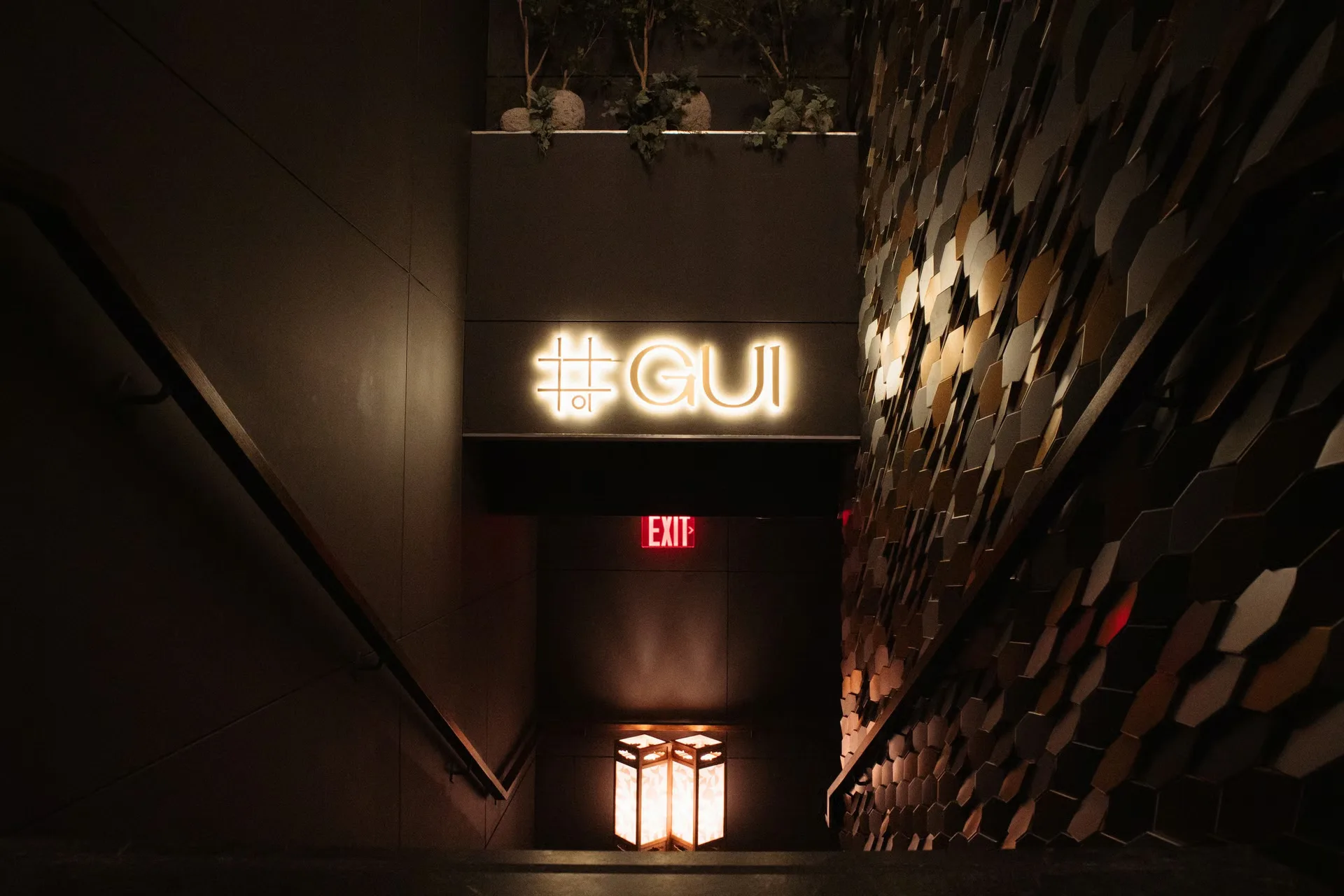 Gui — photo 32