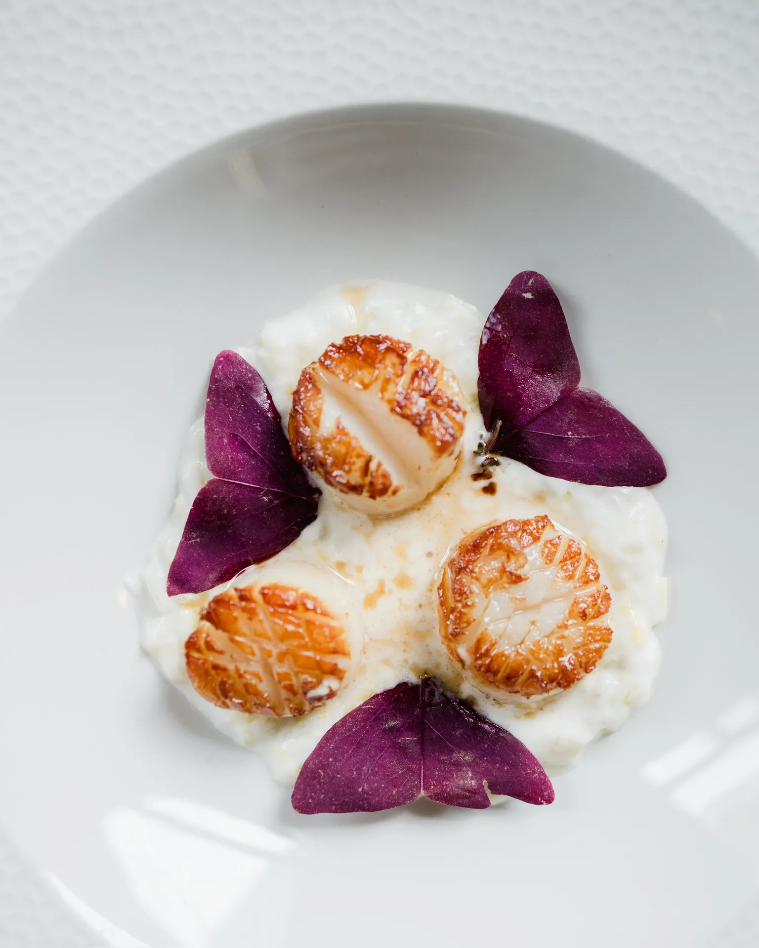 RESTORAN PINOT — food