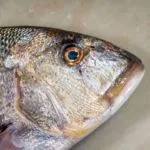 Toc al Mar — food