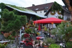 Kininger’s Hirsch — photo 15