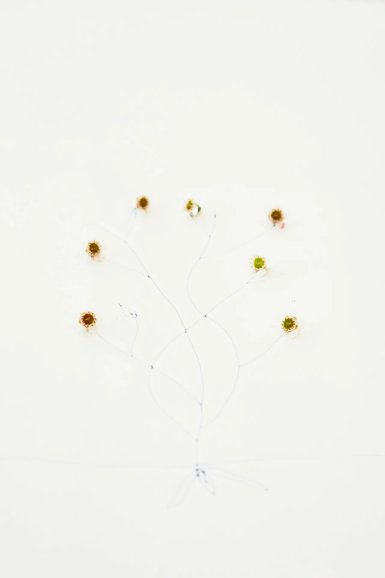 abcV — photo 4