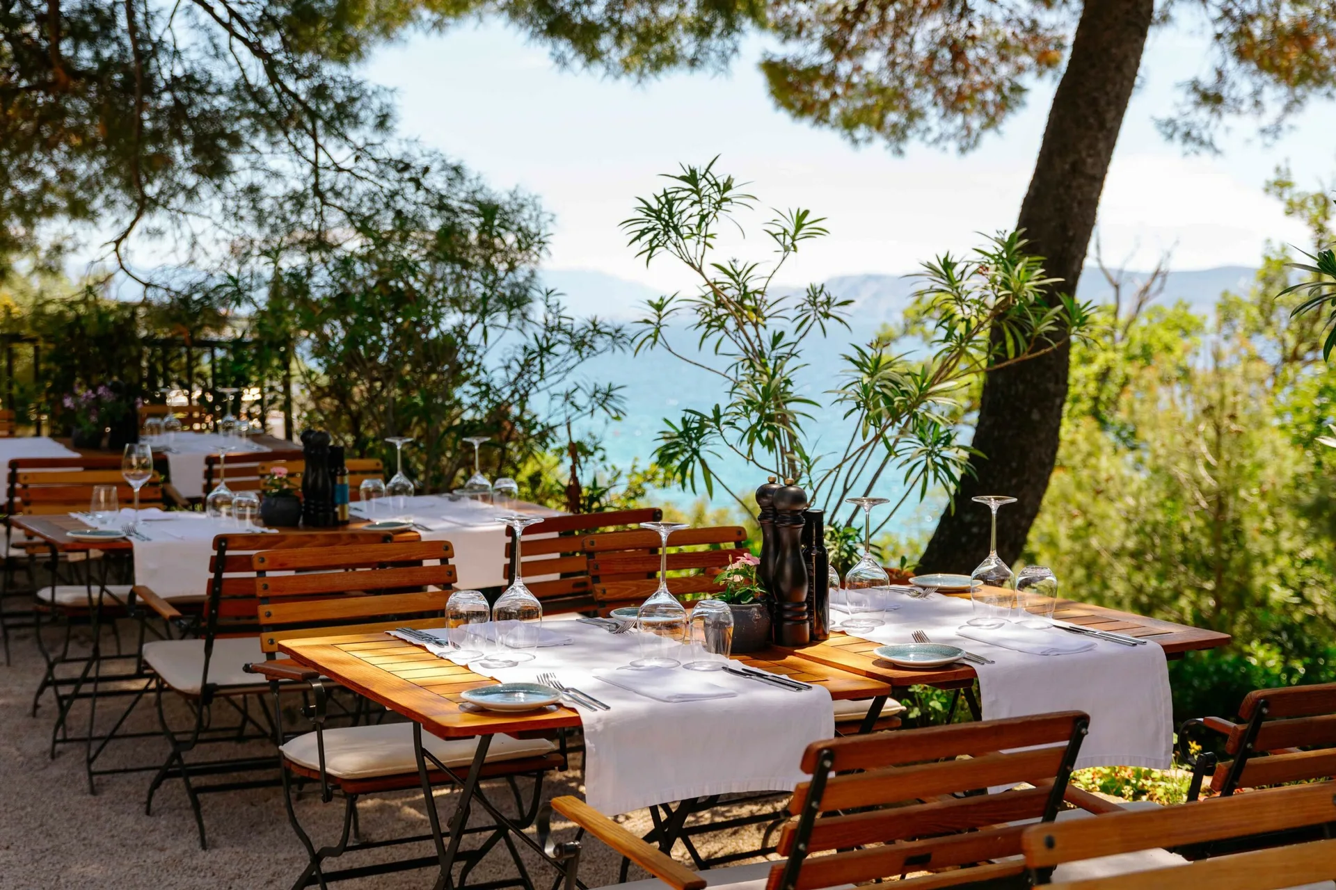 Restaurant Dida — photo 44