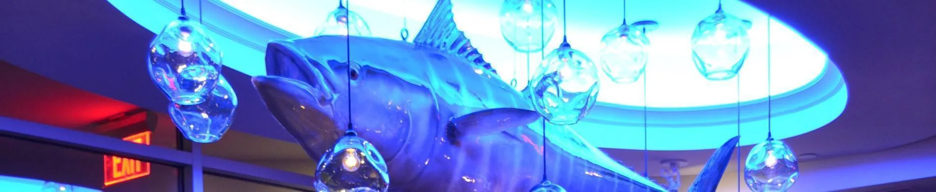 801 Fish — atmosphere