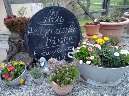Schäferstuben — photo 16