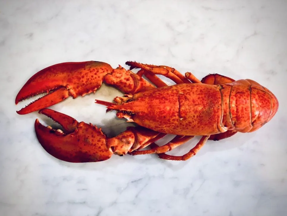 Seafood Station — photo 83
