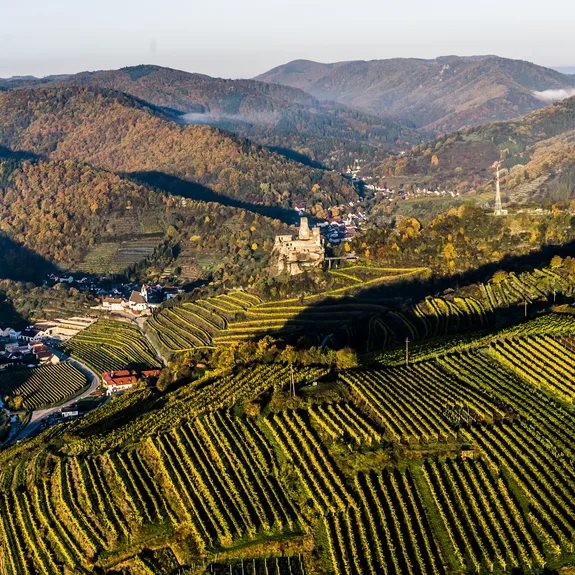 Weingut Nigl — photo 54